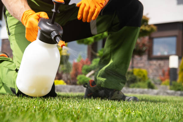 Best Best Pest Control Companies  in Cameron Park, TX
