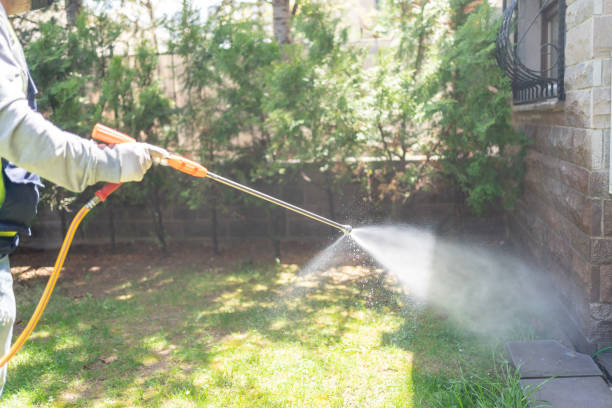 Best Rodent Control Near Me  in Cameron Park, TX
