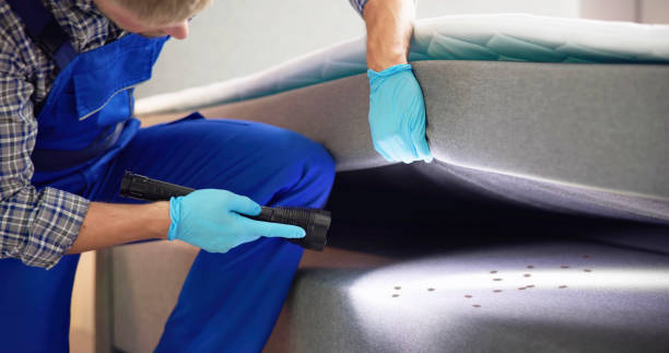 Best Exterminator Services  in Cameron Park, TX