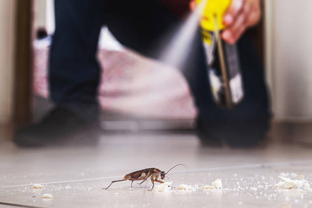 Best Pest Prevention Services  in Cameron Park, TX