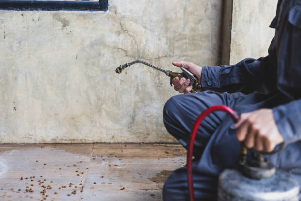 Best Local Pest Control Services  in Cameron Park, TX